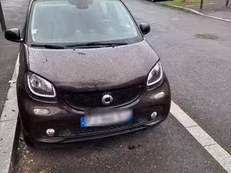 Smart Forfour 1.0 71 Perfect