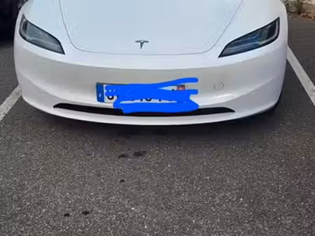 Tesla Model 3 Grande Autonomie 462 4x4
