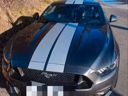 Ford Mustang Fastback V8 5.0 421