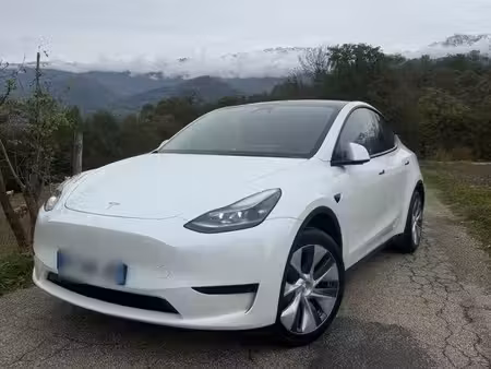 Tesla Model Y Standard