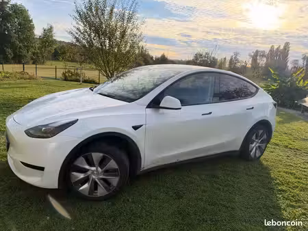 Tesla Model Y Standard