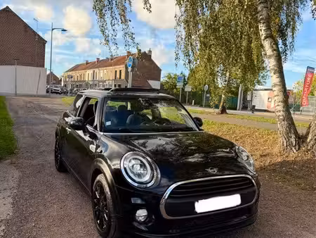 Mini Mini One 102