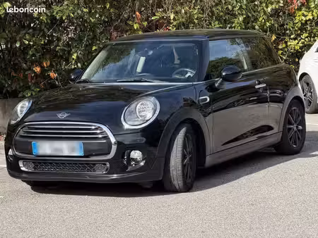Mini Mini One 102 Salt