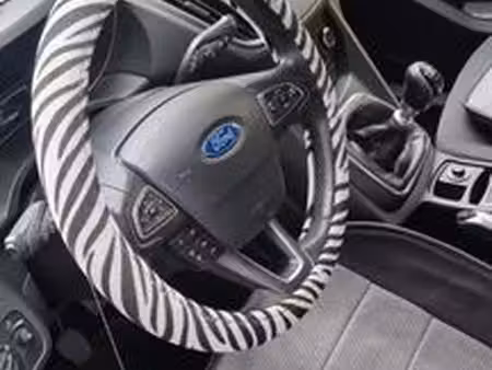 Ford C-max SE