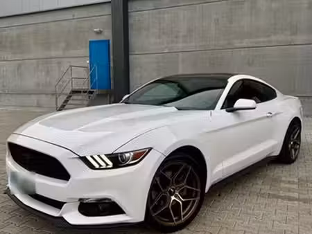 Ford Mustang Fastback 2.3 EcoBoost 317