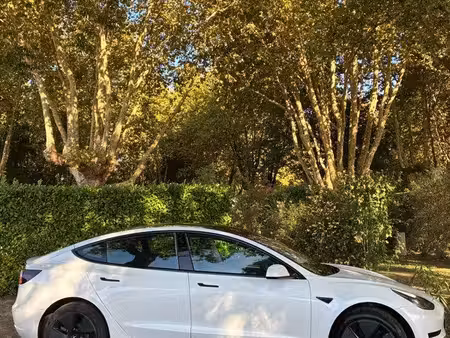 Tesla Model 3 275