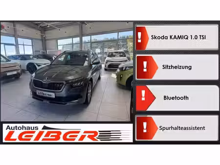 Škoda Kamiq 1.0 TSI 110 Ambition
