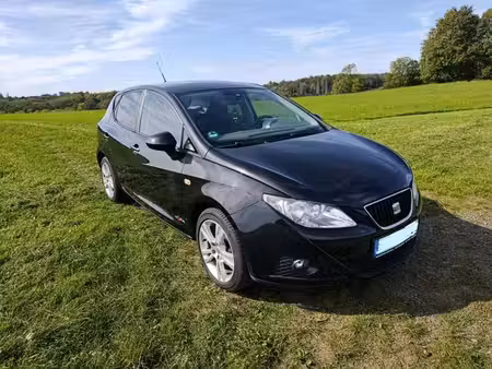 Seat Ibiza Copa