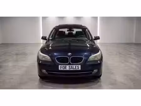 BMW Série 5 520d 2.0 163