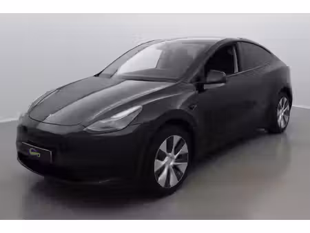 Tesla Model Y Standard 300