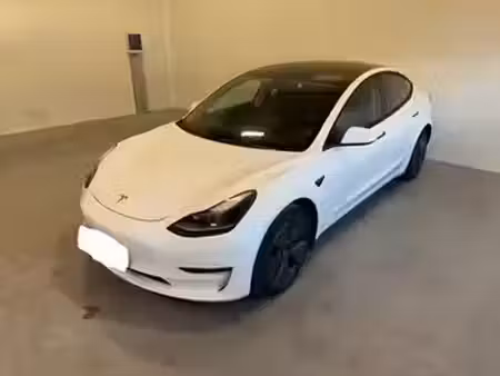 Tesla Model 3 Grande Autonomie 462 4x4