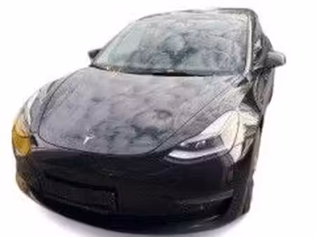 Tesla Model 3 Performance 482 PUP 4x4