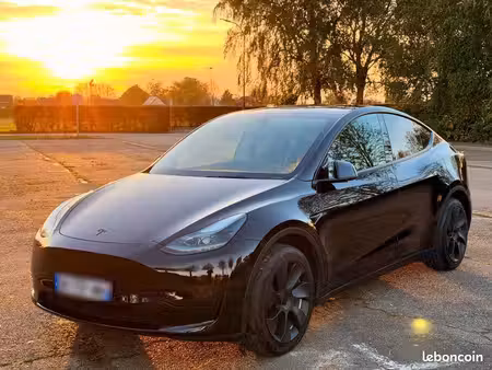 Tesla Model Y Standard