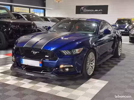 Ford Mustang Fastback 2.3 EcoBoost 317