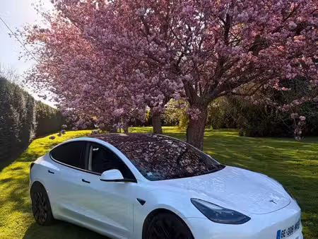 Tesla Model 3 Performance 482 PUP 4x4