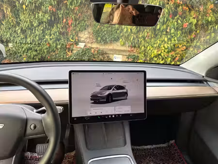 Tesla Model Y Performance 4x4