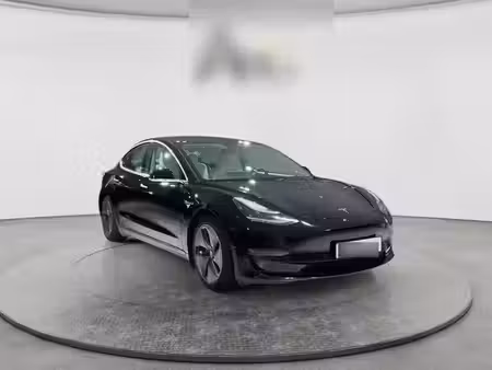 Tesla Model 3 Grande Autonomie 462 4x4