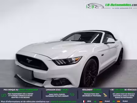 Ford Mustang Fastback 5.0 421