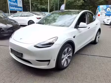 Tesla Model Y Standard 300