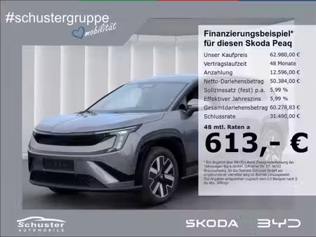 Škoda Peaq 286